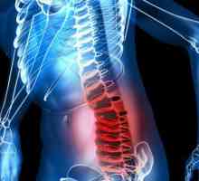 Операции на гръбначния стълб и рехабилитация