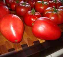 Описание и рецензии: домати "mazarini"