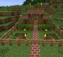 Описание на това как да направите ограда в Minecraft