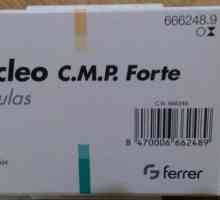Описание на лекарството "Nucleo CMF Forte". Показания за назначаване и прегледи