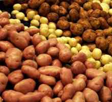 Описание на сорта картофи Невски. Характеристики и рецензии