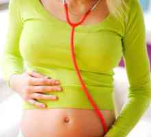Определяне на пола на бебето чрез сърцебиене и урина
