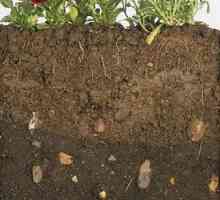 Определете гъстотата на почвата в градината