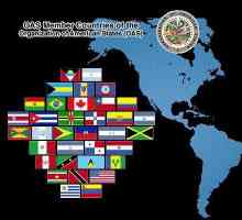 Организация на американските държави (OAS)