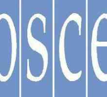 Организация за сигурност и сътрудничество в Европа (ОССЕ): структура, цели