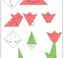 Оригами за деца 4-5 години: схеми и идеи