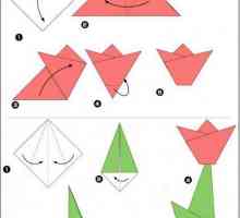 Оригами за начинаещи: графики, подробни инструкции