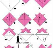 Оригами "Риба". Обикновена риба и модулна схема