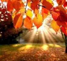 Есента е времето на чудесата. Какво можете да направите през есенните месеци?