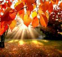 Есенното слънцестоене е древен празник