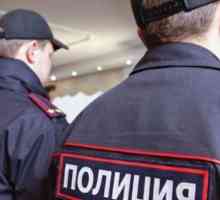 Инспекция на полицейски служител в изпълнение: статия от Наказателния кодекс на Руската федерация