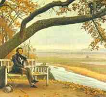 Основните мотиви на текстовете на Пушкин. Теми и мотиви на текстовете на Пушкин