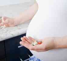 Основните показания за фолиевата киселина по време на бременност