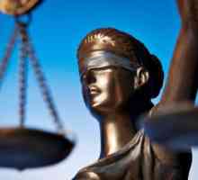 Основни права и задължения на съдиите от Руската федерация