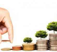 Основни правила за инвестиране - описание, принципи и препоръки