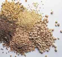 Основните видове зърнени култури: списък, снимка