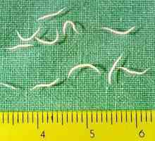 Pinworms при деца: симптоми. Таблетки от червеи за деца. Дете има червеи - какво да правим?