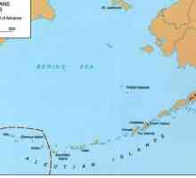 Остров Кишка (Берингово море, САЩ): описание, история