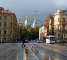 От свободното място до културния квартал: Театър площад Санкт Петербург