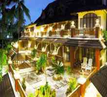Хотел Aloha Resort 3 * (Тайланд / Кох Самуи): описание, обзор