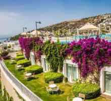 Хотел Baia Hotel Bodrum 5 * (Турция / Бодрум / Гундоган): преглед, описание и прегледи на туристите