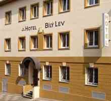 Hotel Bily Lev 3 *, Прага: отзиви, мнения, оценки и информация за хотели