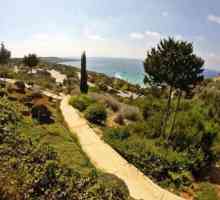 Konnos Bay Hotel Apartments 3 * (Кипър / Протарас) - Преглед, описание и ревюта от туристи.