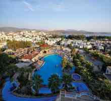 Хотел Palm Garden Hotel 4 * Бодрум, Турция: отзиви