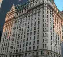 Хотел `Плаза`, Ню Йорк: адрес, снимки на стаи, собственик