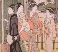 Откриването на Япония. История на Япония