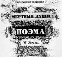 Позицията на Чичиков към Манилов. Поема Н.В. Гогол `мъртви души`
