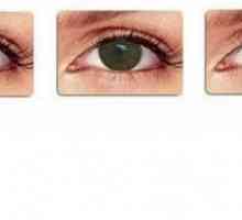 Оцветени лещи за сини и кафяви очи