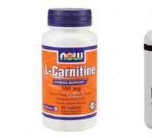 Препоръки за употреба L-Carnitine