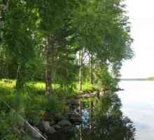 Езерото Gusinoye, квартал Priozersky - чудесно място за релакс