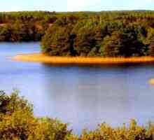 Езерото Krivoye: хидроложкият резерват в Беларус и градското селище в Украйна