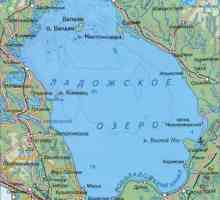 Езерото Ладога: описание, дълбочина, релеф, риба