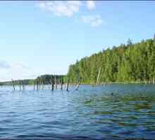 Езерото Pskovskoe: фото, отдих и риболов. Прегледи на останалата част от езерото Псков