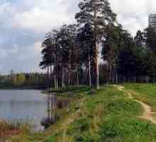 Езерото училище в Зеленоград: ода на "Водопровод"