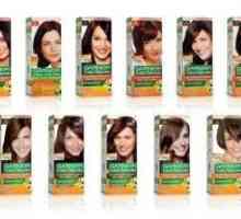 Палитра от бои за коса "Гарние": избор на съвършенство