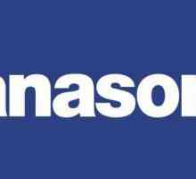 Panasonic RX D55: спецификации и отзиви