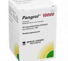 "Pangrol 10000": инструкции за деца, рецензии, аналози