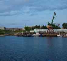 PJSC `Yaroslavl Shipyard`: история, производство, контакти