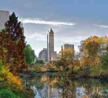 Паркове в Ню Йорк, САЩ: списък, контакти, история и отзиви