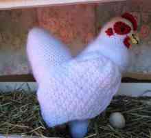 Великденско пиле (плетене на една кука): схеми. Плетиво великденски плетене на една кука