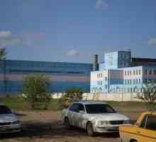 Трактор "Павлодар": тъжна история на производствения гигант