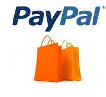 PayPal: какво е това, как да се използва, как да се създаде? Отзиви за платежната система PayPal