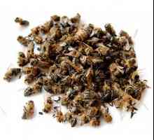 Помощ за пчелите - универсално лекарство за всички болести