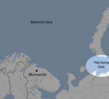 Pechora Sea: общо описание и местоположение