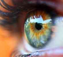 Обвивка в очите: причини и лечение. Причини за замъглено зрение