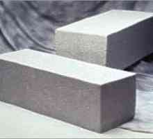 Пяна бетон или газобетон: какъв материал да изберем за изграждане на къща?